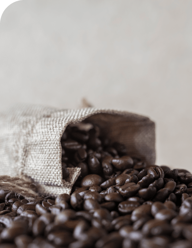 自由に楽しむ新しいコーヒー習慣へ