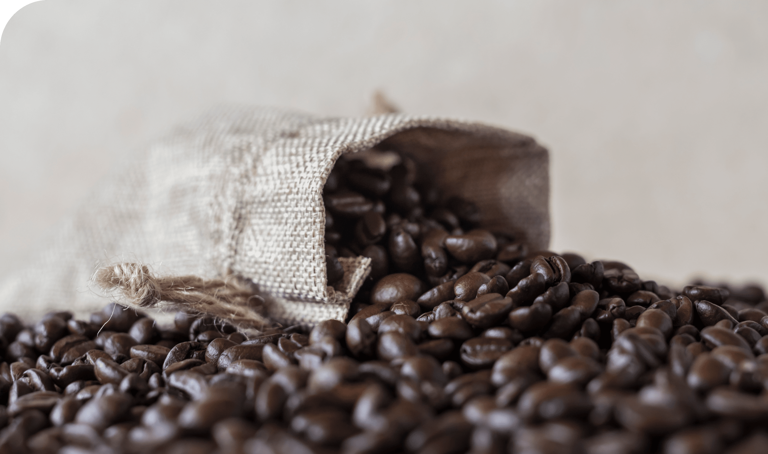 自由に楽しむ新しいコーヒー習慣へ